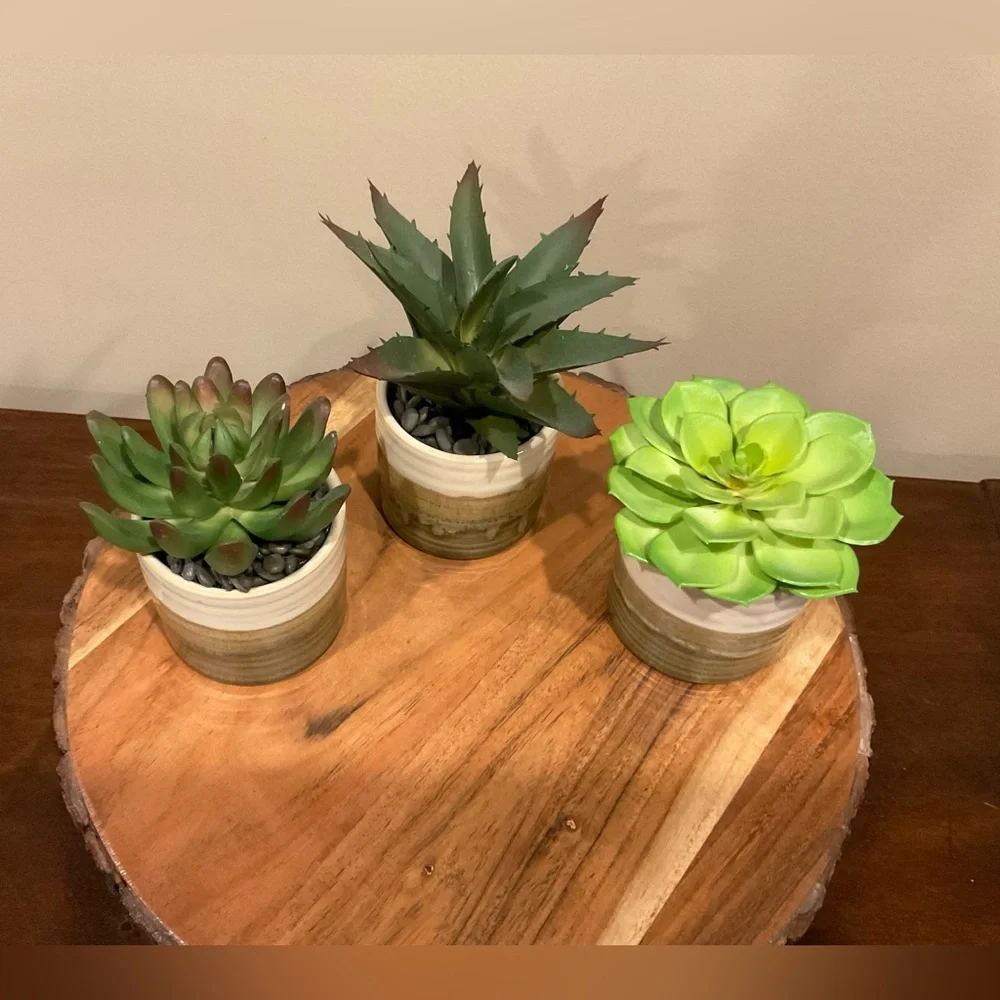 Set of 3 NEW Small Faux Succulents in Pots 🌵